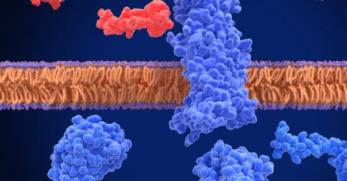 STAT+: Five-way obesity drug is super effective - in mice
