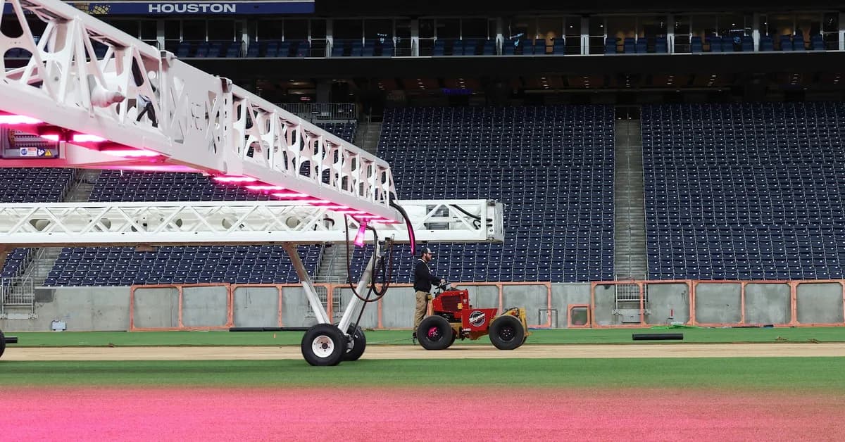 Scientists Spent 5 Years Developing Turf for the World Cup-Here's How To Bring It to Your Backyard