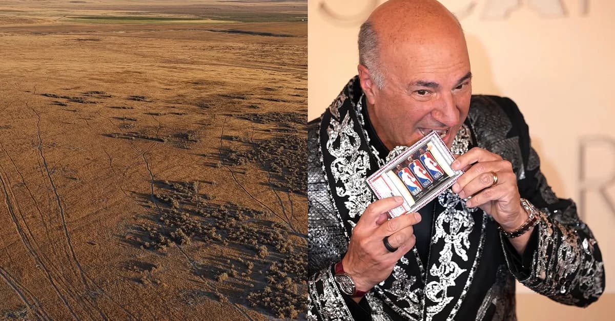 The People of Utah vs. Kevin O’Leary