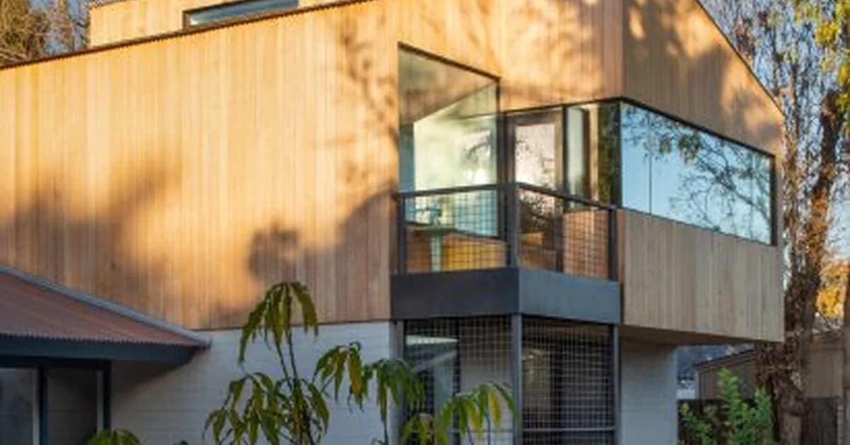 Benjamin Hall expands Phoenix home with treehouse-like addition