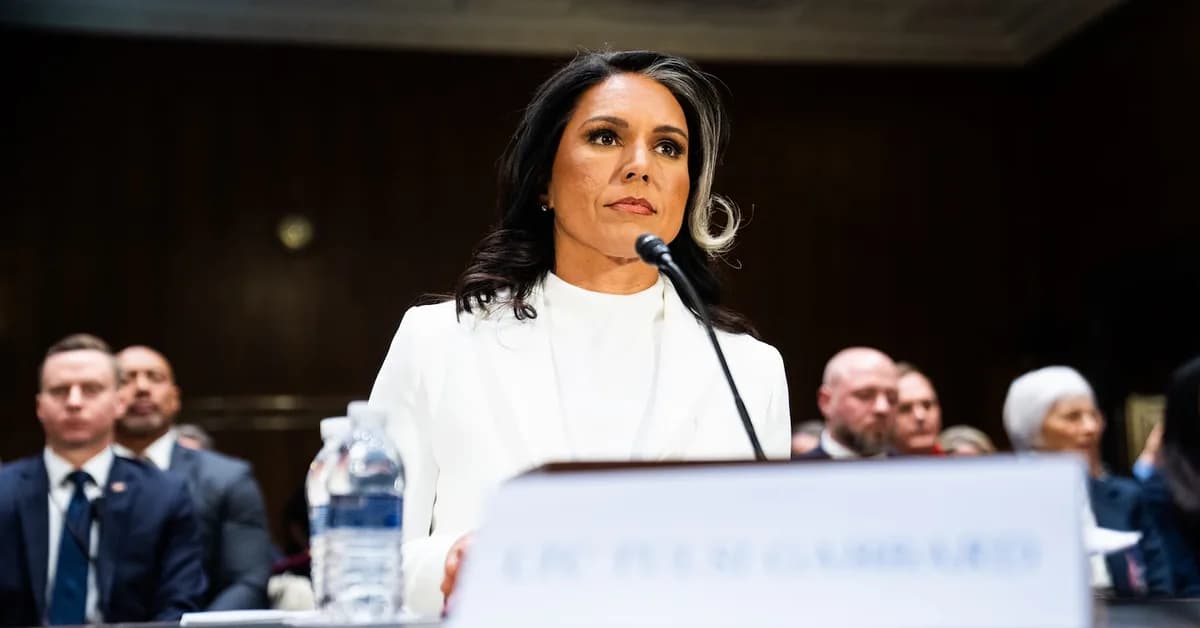 Senators Ask Tulsi Gabbard To Tell Americans That VPN Use Might Subject Them To Domestic Surveillance