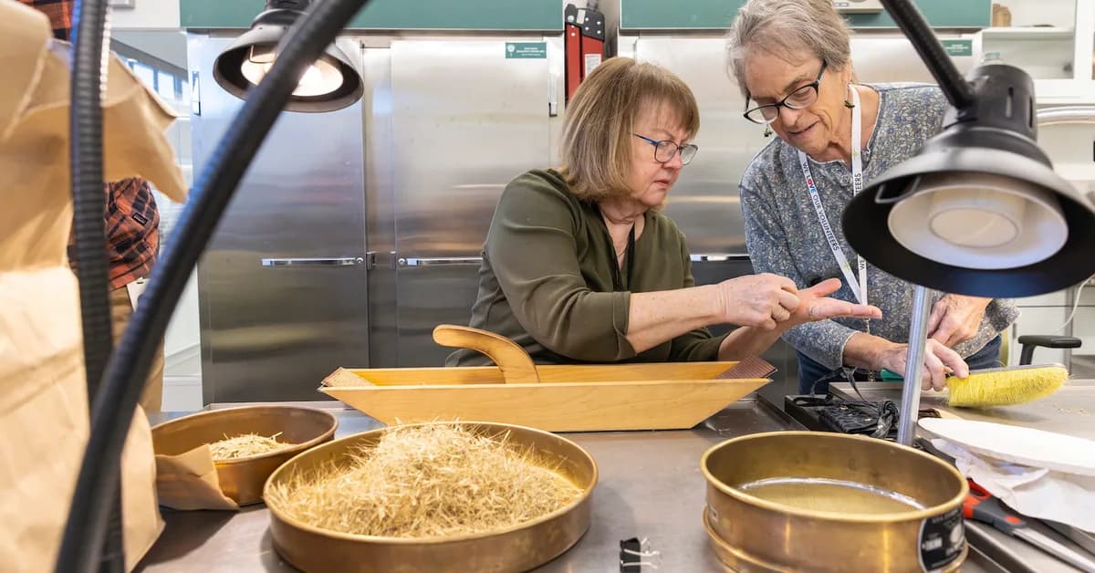 A regional network is racing to save the Midwest's native seeds