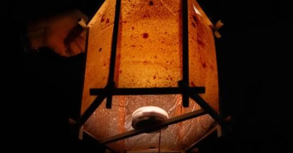 Lighting made from Chinese medicine waste among projects from Politecnico di Milano
