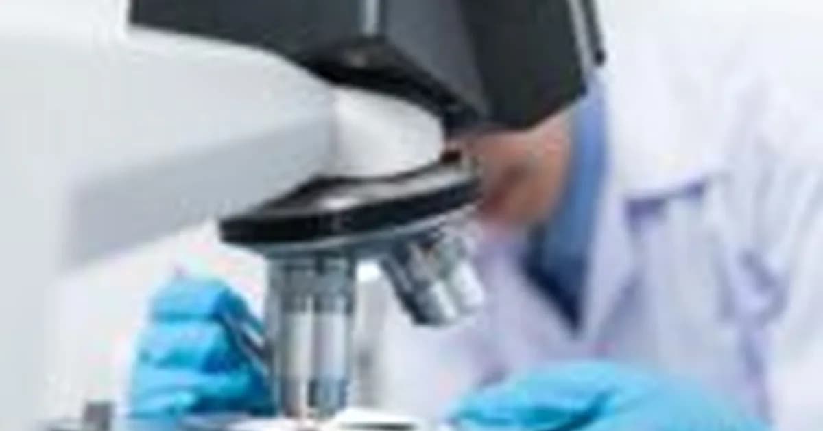 Biossil hits unicorn status with new OpenAI-led financing