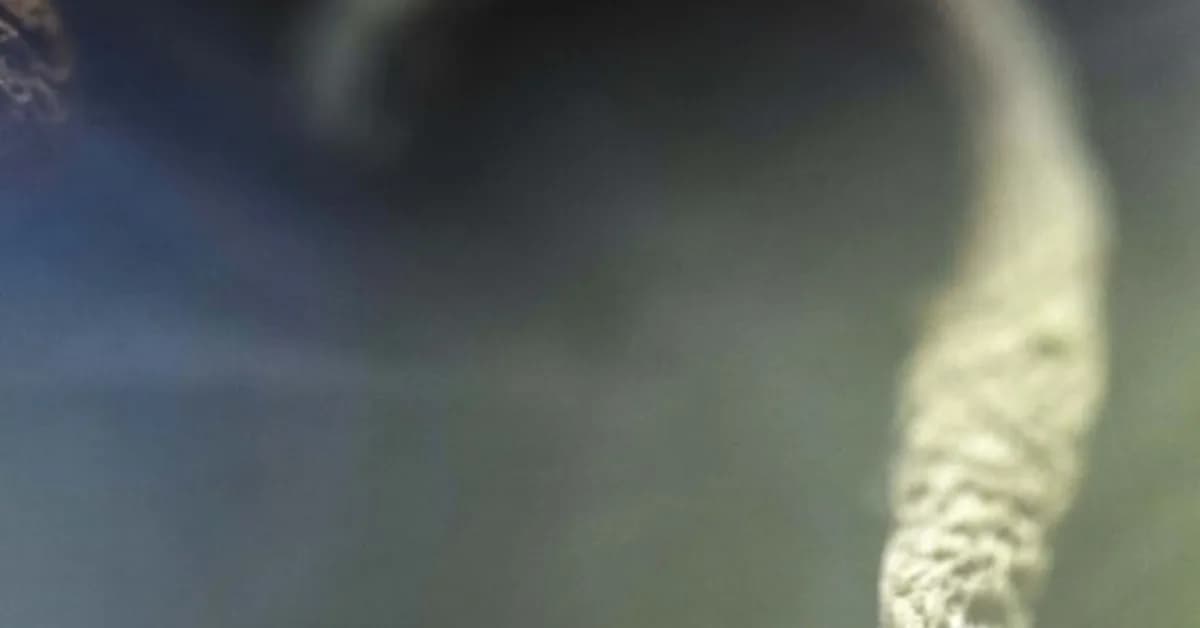 STAT+: FDA to speed up review of three psychedelics as mental health treatments