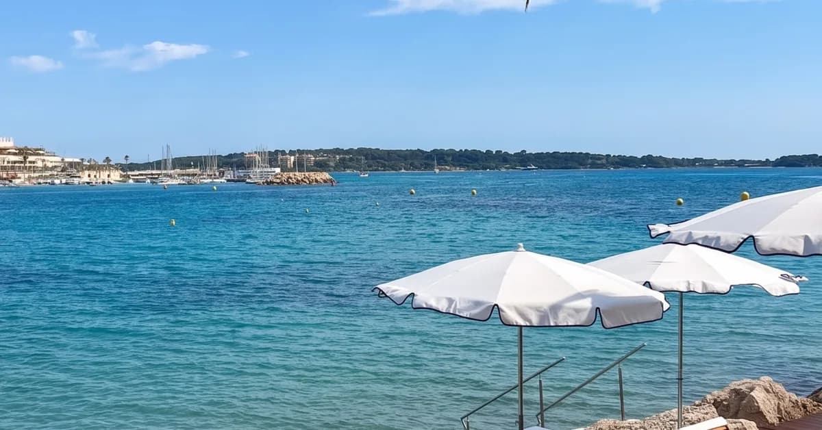 The 16 Best Restaurants in Cannes