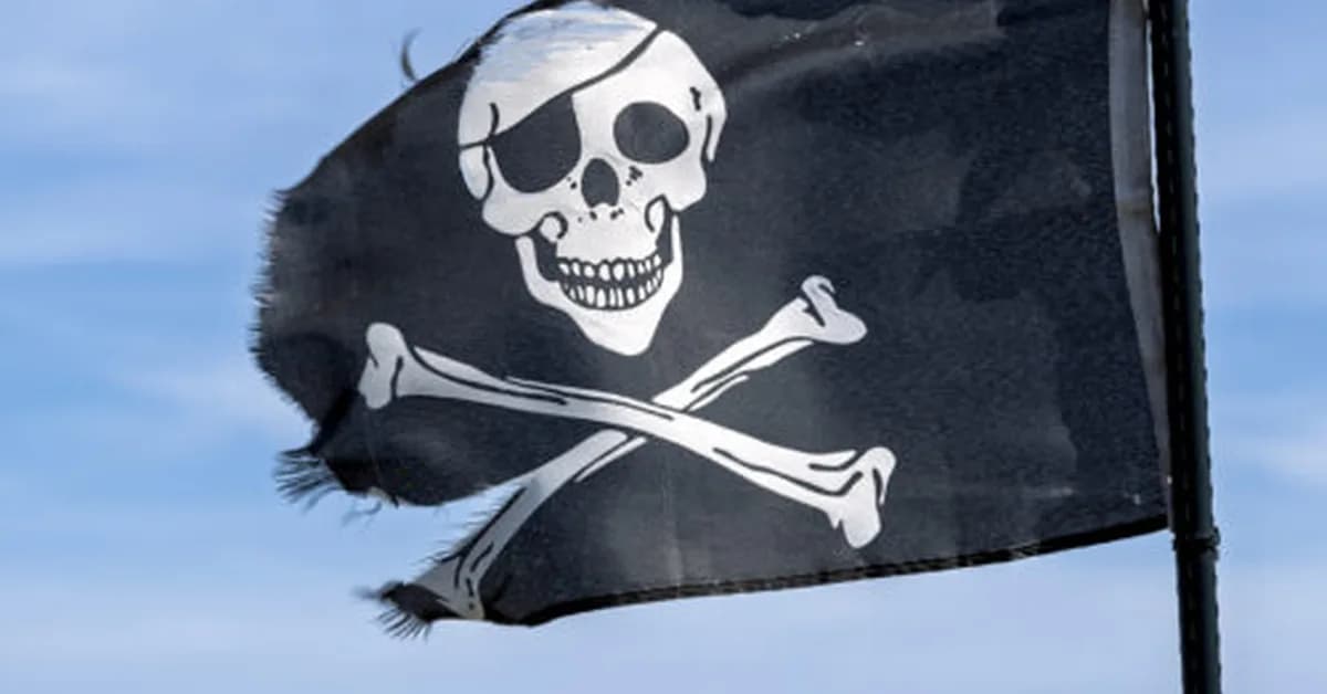 Authors' lucky break in court may help class action over Meta torrenting