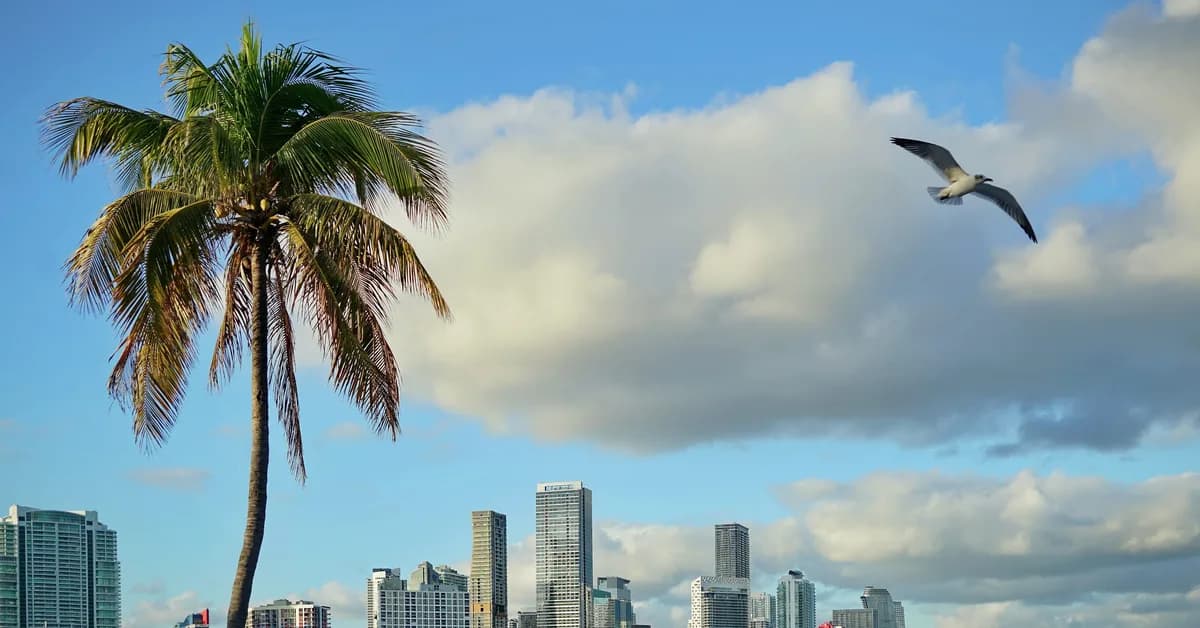 Where have all the Miami portfolio managers gone?