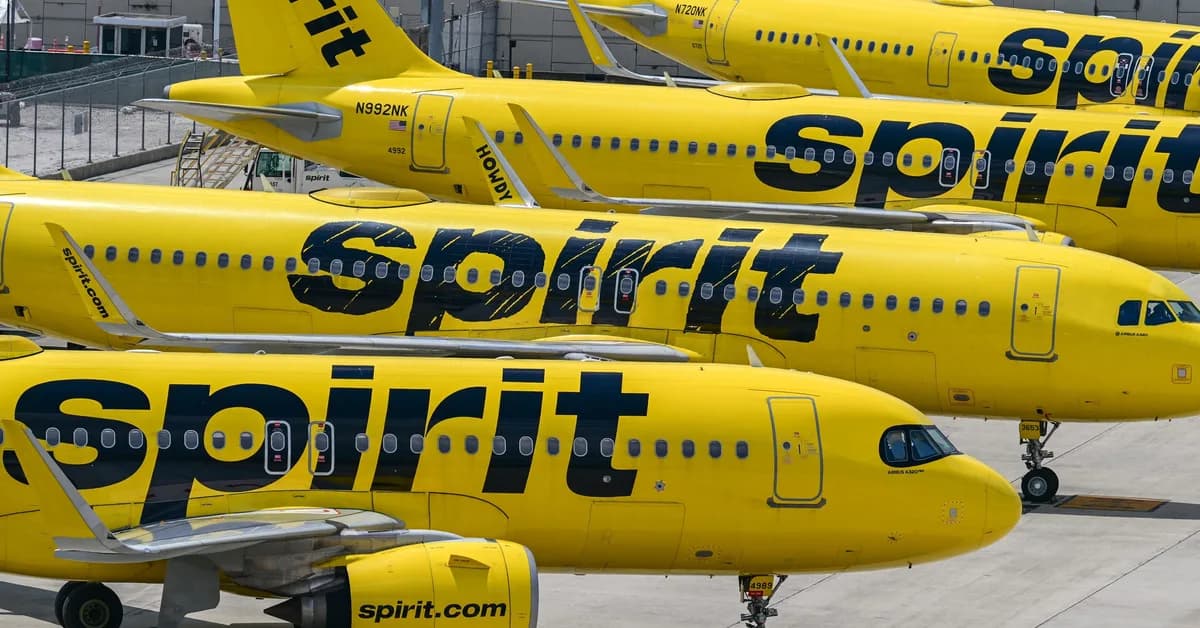 A Spirit Airlines fan has launched Spirit 2.0, a crowdsourcing effort to buy the airline: 'The people can own it'
