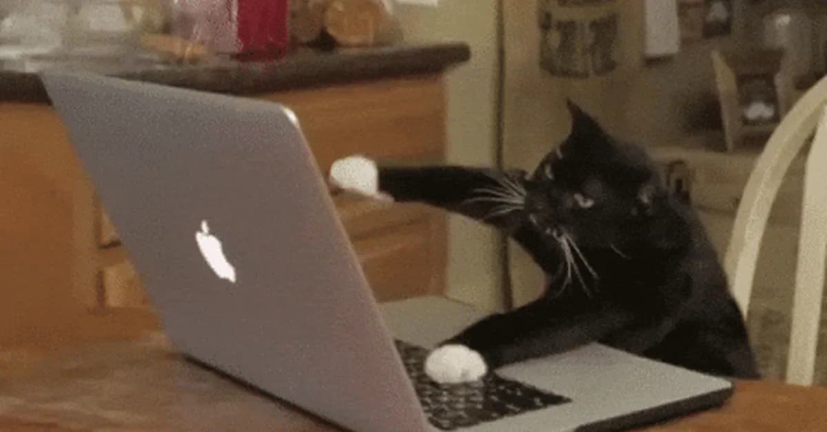 I Built a Clean, Developer-Focused GitHub Profile README (with a Coding Cat 🐱💻)