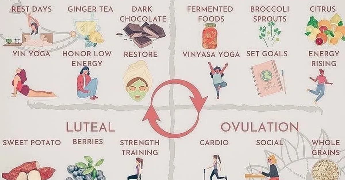 How The Cycle convinced Sprouts to find a place for its menstrual cycle-synced drinks in stores