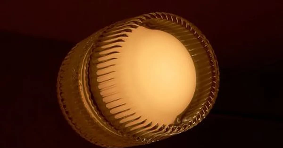 Firth wall light by Tala