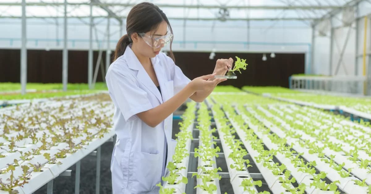Guelph puts its grad talent inside agri-food companies