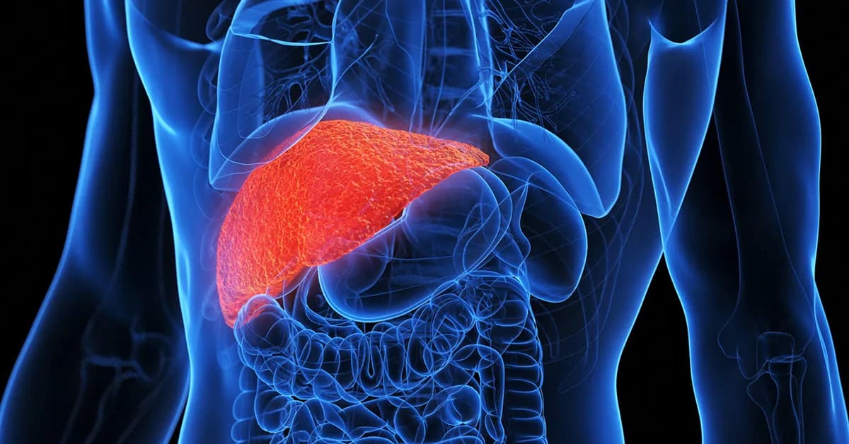 Parental Obesity Before Pregnancy Linked to Kids' Chronic Liver Disease Risk