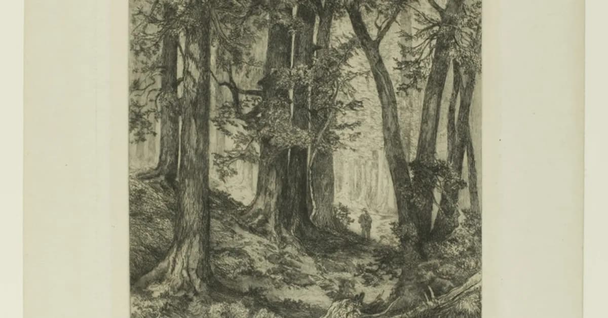 ERA Real Estate affiliates form new billion-dollar-plus partnership in California