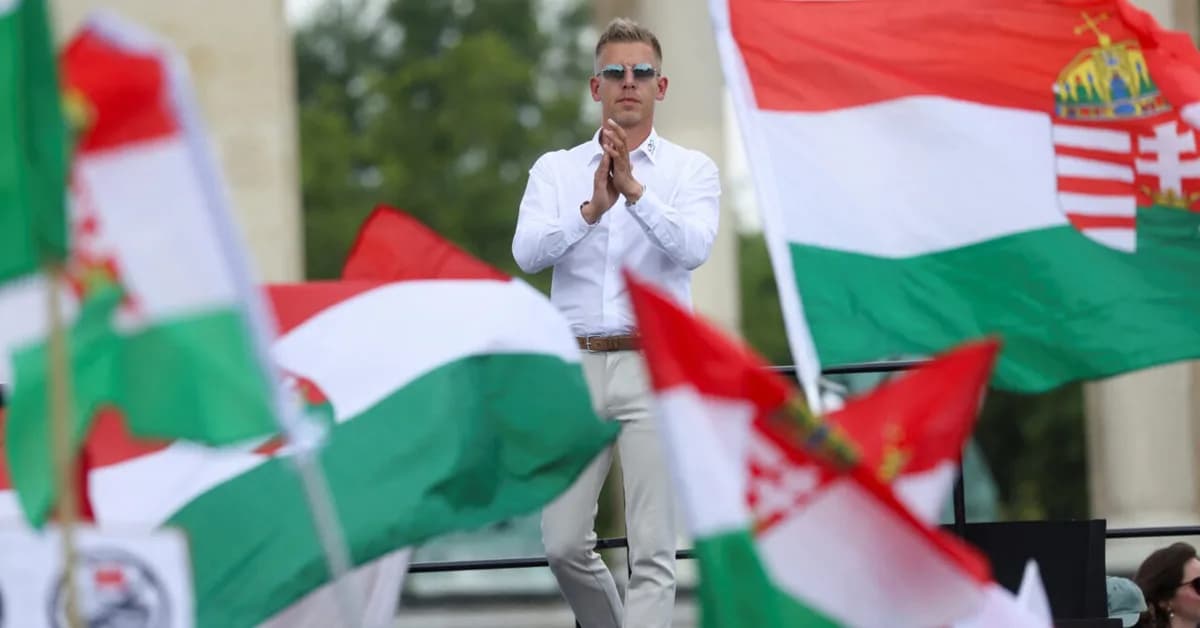 Peter Magyar: former govt insider promising system change