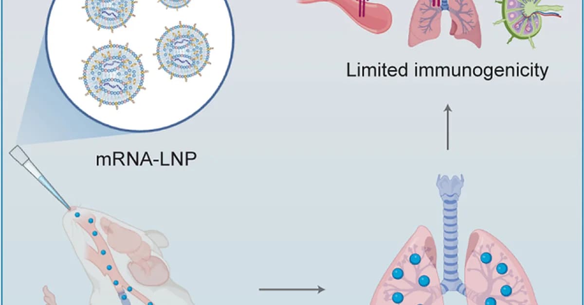 Internal Disorder in Lipid Nanoparticles May Improve Cargo Delivery in Cells