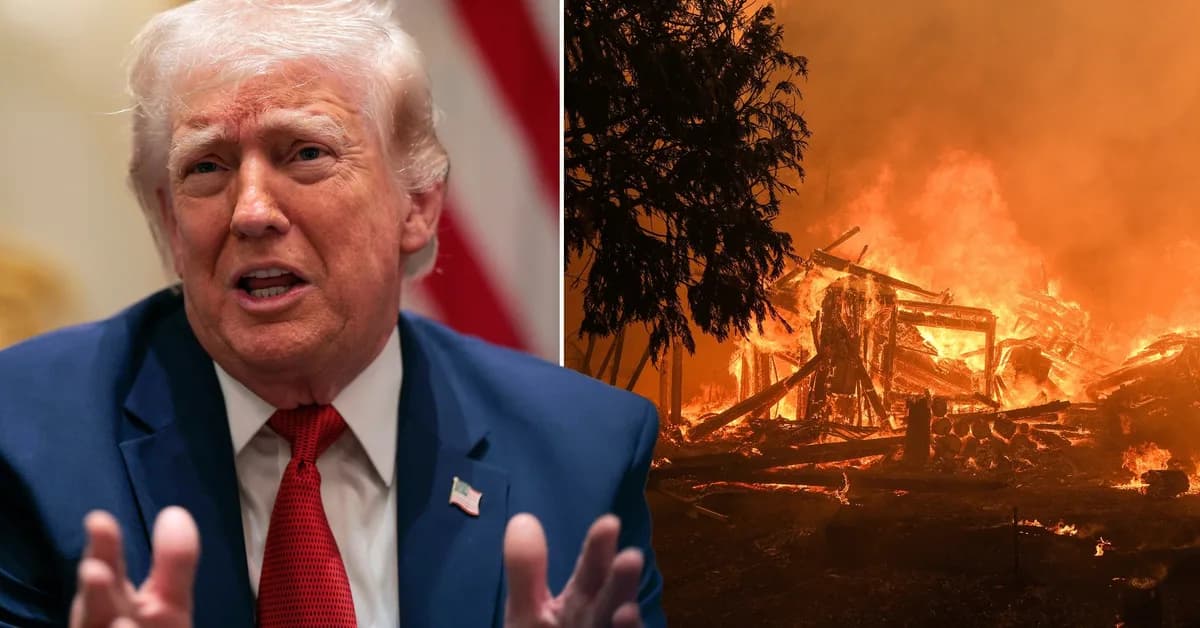 Trump Slams Insurance Giant State Farm's Response to California Wildfires