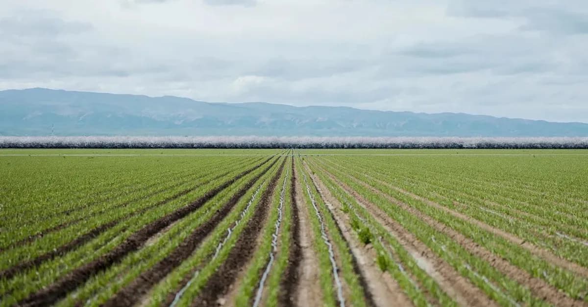 'We're harvesting the sun': A huge solar project grows in California