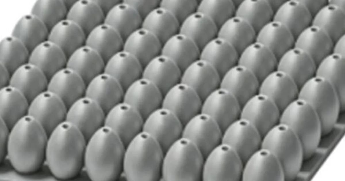 The secret to protecting next-gen spacecraft might be eggshells