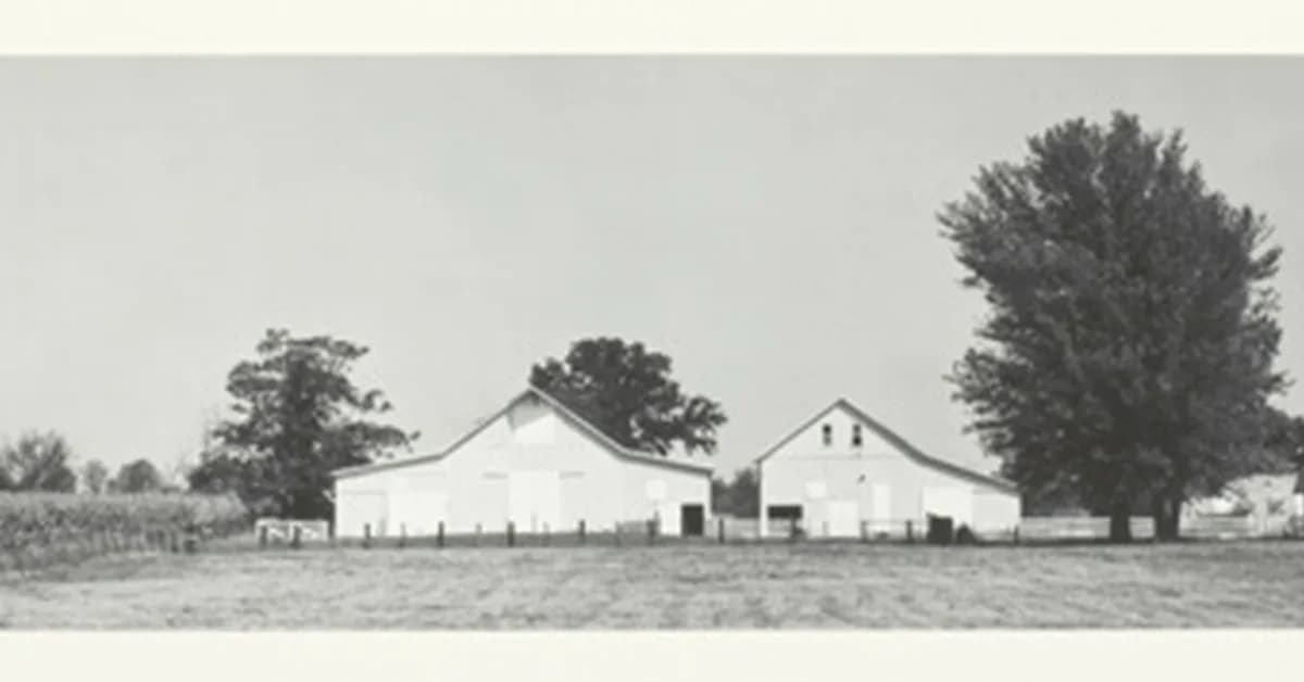 Shipping a free EU AI Act Article 50 tool in 3 weeks - what I got wrong about distribution