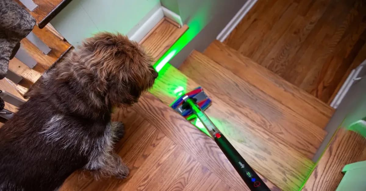 Dyson’s ultra-thin PencilVac Fluffycones is tougher to resist at $150 off