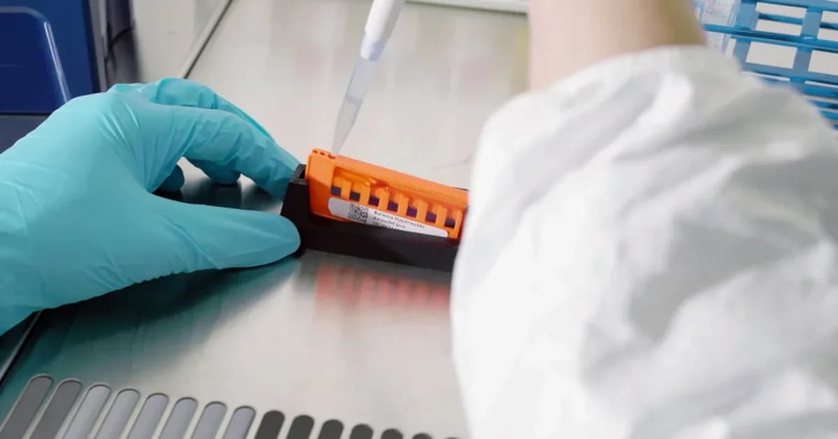 Bacteria Marching to the Beat of a Tiny Drum