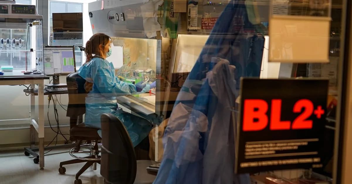 US Scientists Sequence 1,000 Genomes From Measles, a Disease Long Eliminated With Vaccines