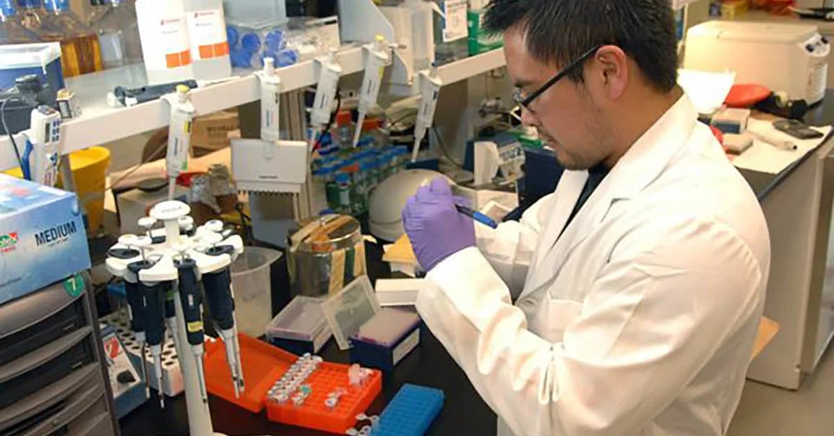 Three Canadian microbiologists recognised for breakthrough research that could transform healthcare and food security