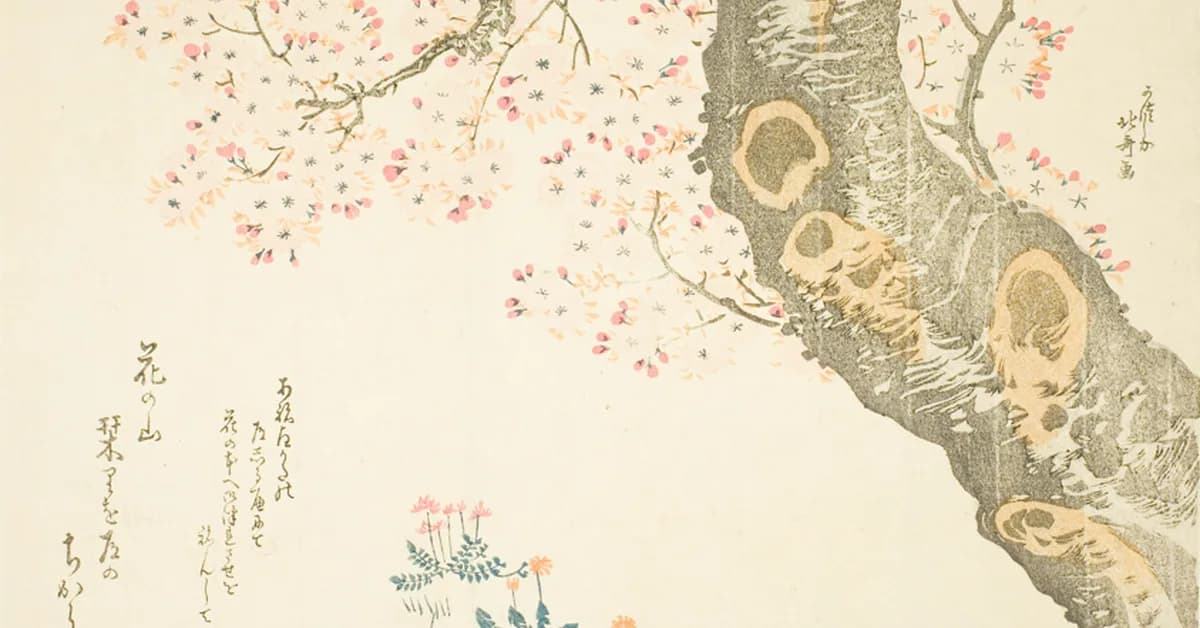 Avalara adds integration with Clover for tax compliance