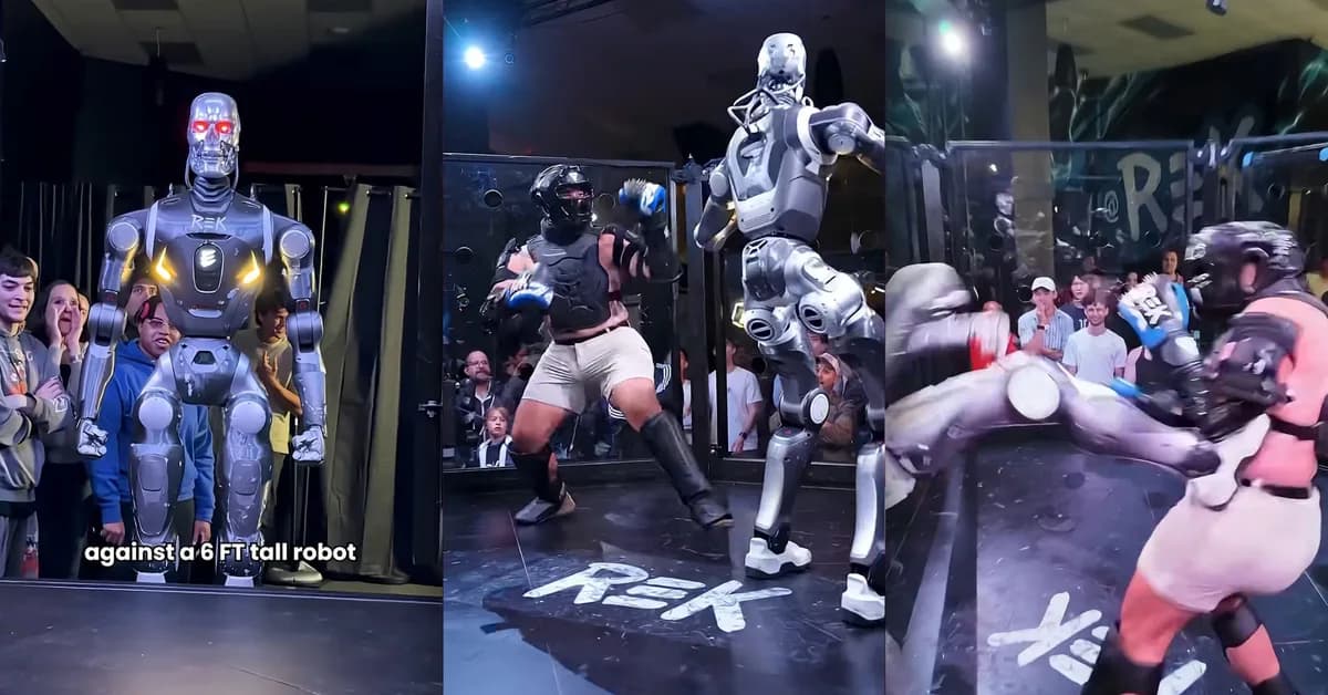 Behold: Video of "First-Ever" Human Versus Robot MMA Fight