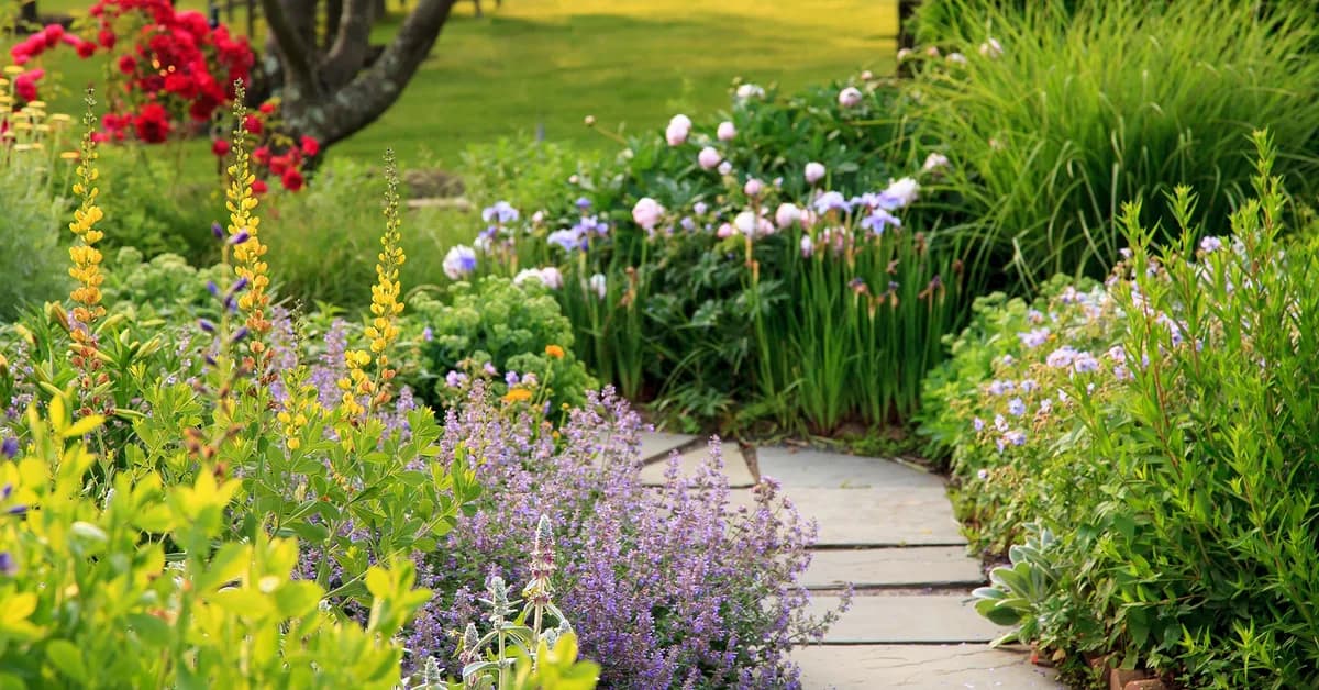 5 Fast-Growing Border Plants That Will Increase Curb Appeal