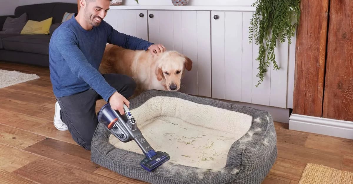 Here are our favorite spring cleaning deals from Amazon's Big Spring Sale