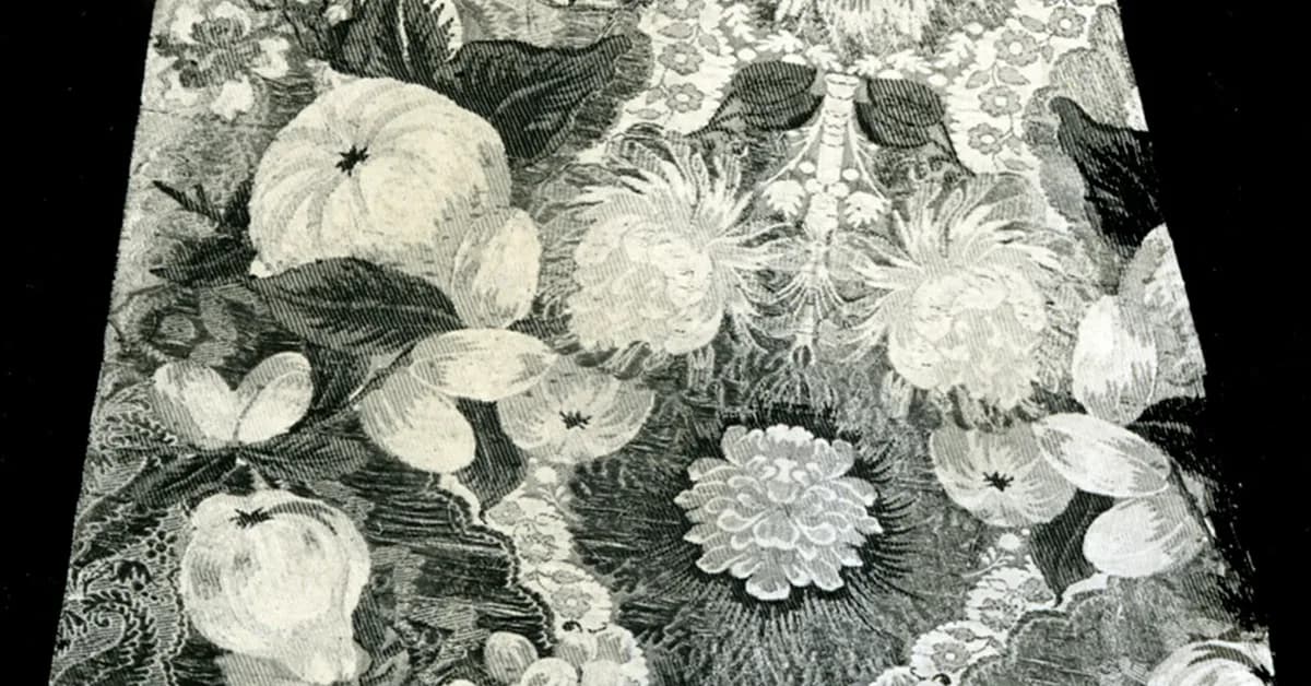 Q&A: Blue vs Red: How a new AgTech platform is optimising sunlight to make better fruit