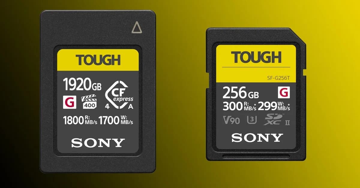 Sony Is Putting Its SD and CFExpress Memory Card Production on Hold Thanks to AI