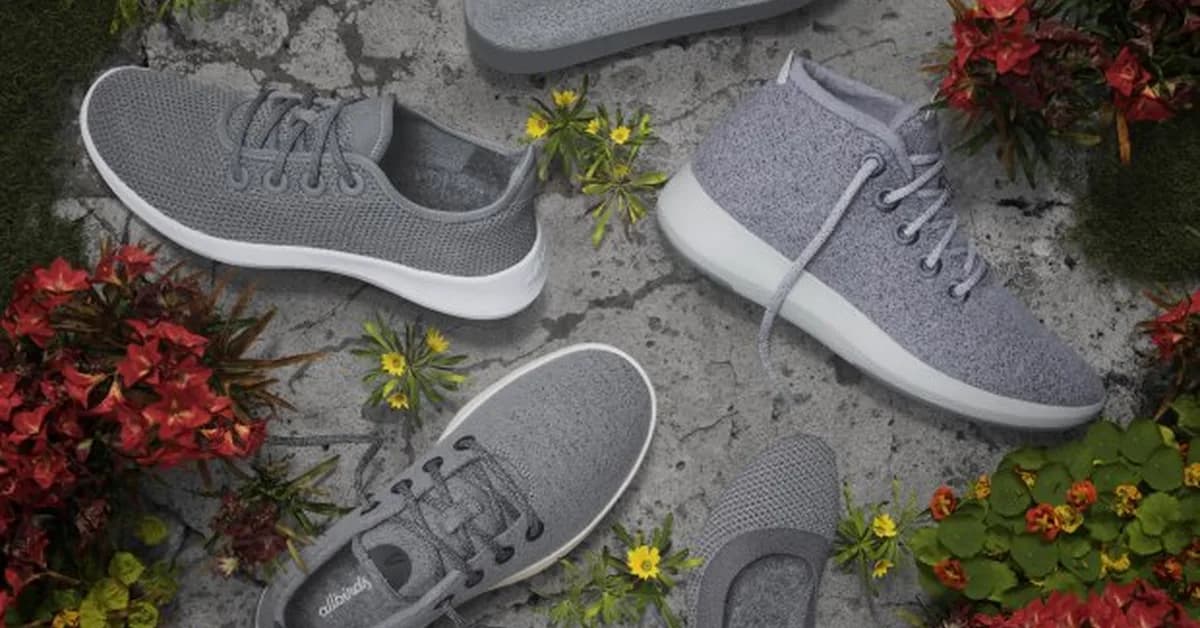 Allbirds to be sold for $39 million