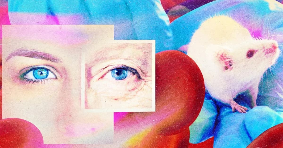 A startup claims it's found a drug to make your blood young