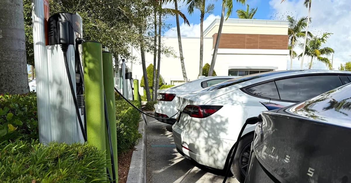 Florida Says $200M Fund for EV Chargers Is 'Waste' to Taxpayers, Should Go to Flying Taxis Instead: TDS