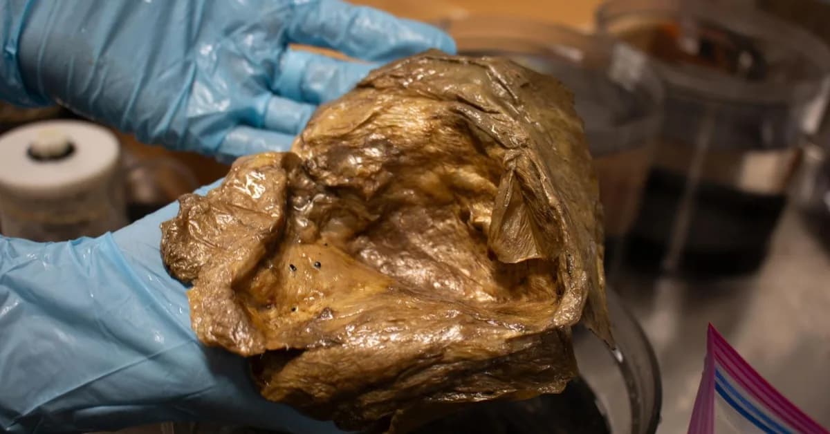 A Mysterious Golden Orb Was Discovered Under the Sea. We Finally Know What It Is.