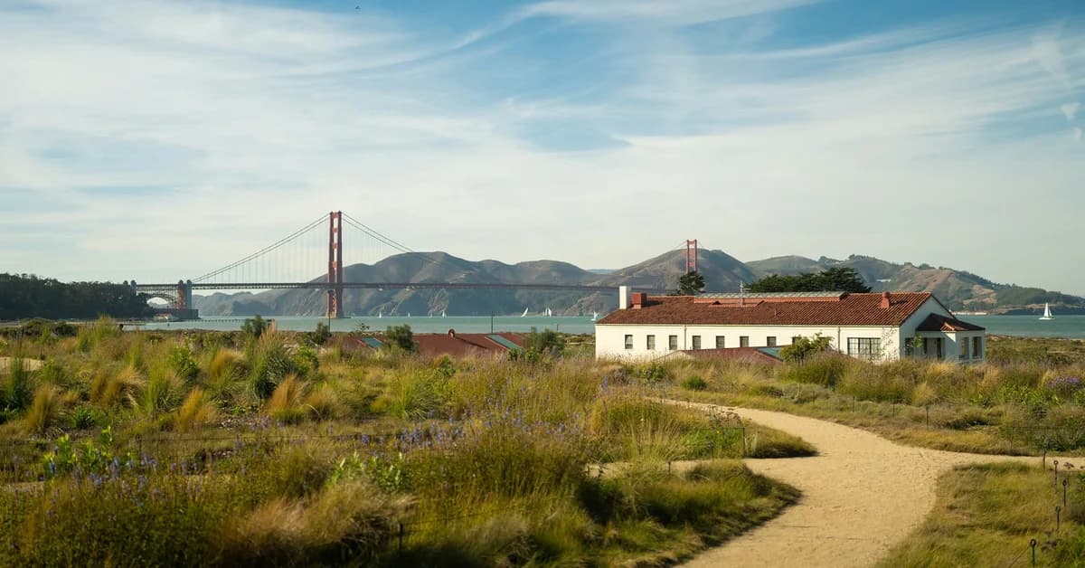 Scarred by AI-Driven Bidding Wars, San Franciscans Flee Across Bridges to the Suburbs