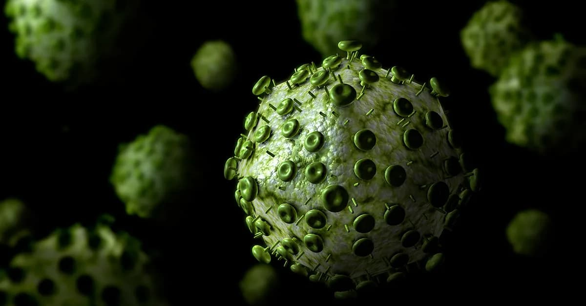 Cancer Drug Reduces SIV Reservoir in Macaques, May Inform HIV Cure Strategies