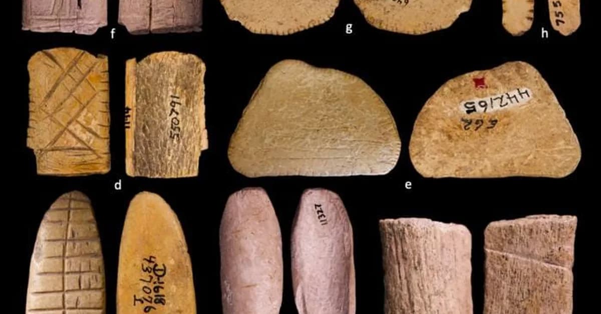 Gambling Is Thousands of Years Older Than We Thought, Rewriting Human Evolution