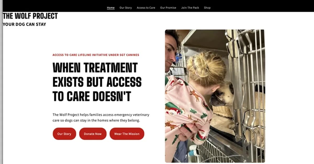 The Wolf Project - Reworking a Real-World Project