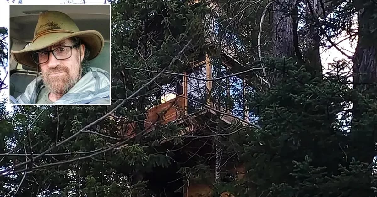 Aspen Treehouse Dweller Faces County Lawsuit Over His Nontraditional Home