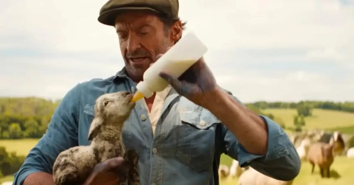 The Sheep Detectives Review