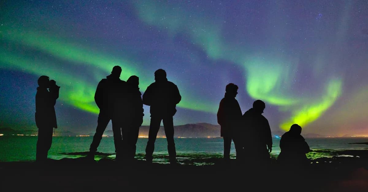Double-dip these Rakuten and Amex offers to save big on your next Viator tour