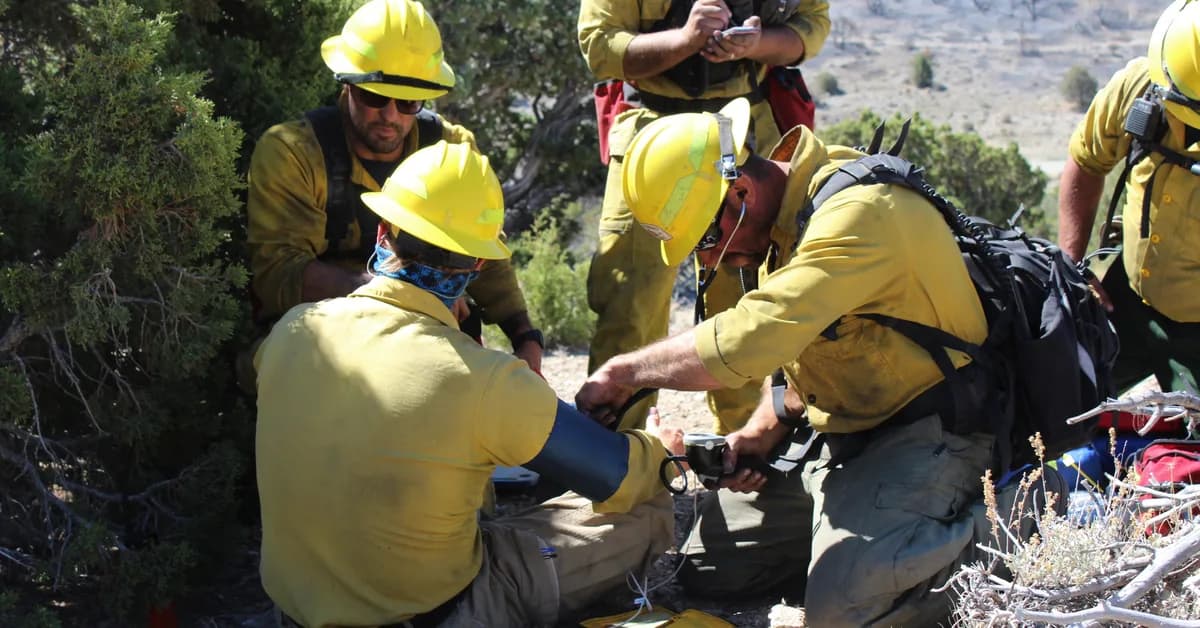 Paramedics for Ecosystems