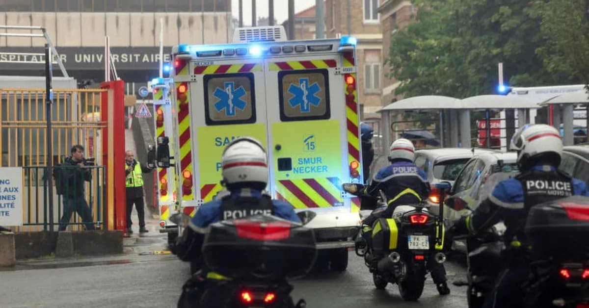 French evacuee from hantavirus-hit ship has 'symptoms': French PM