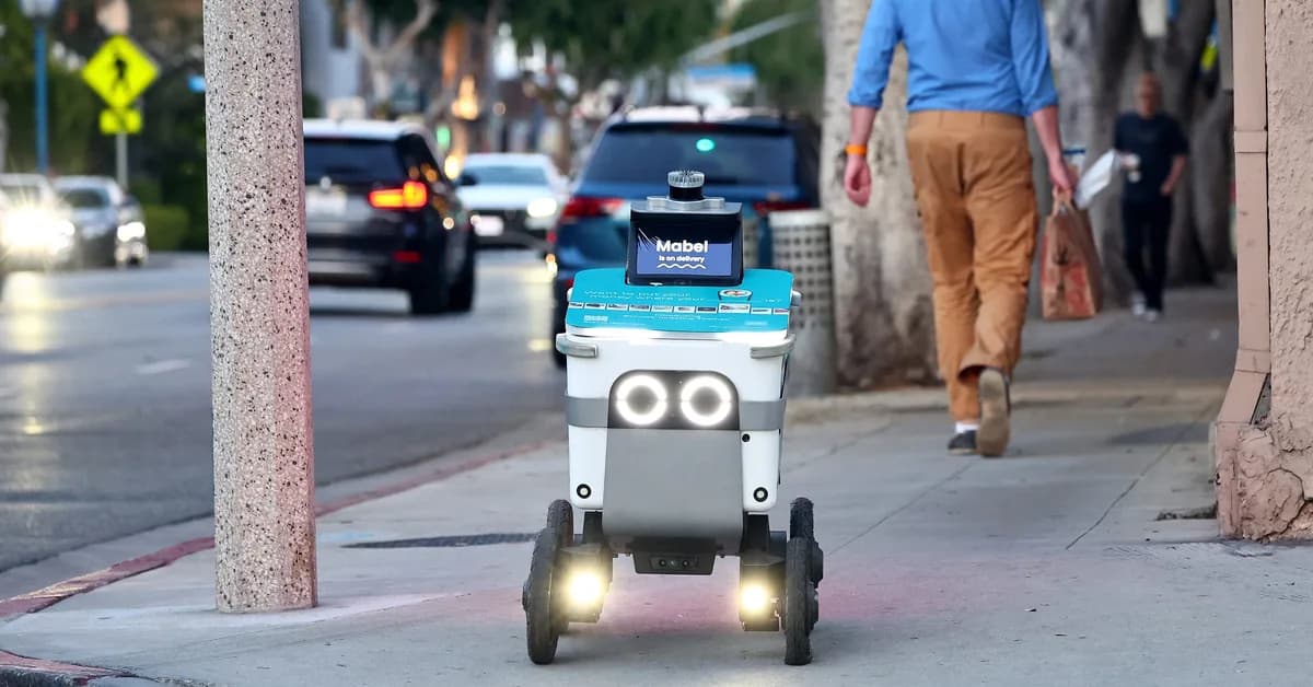 Can humans and robots peacefully co-exist? Delivery bot CEOs say people are nicer than you'd think.