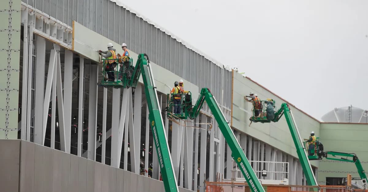 Georgia's forestry industry is in crisis. One solution could be in your medicine cabinet.